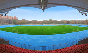 國際足聯人造草坪系統(tǒng)